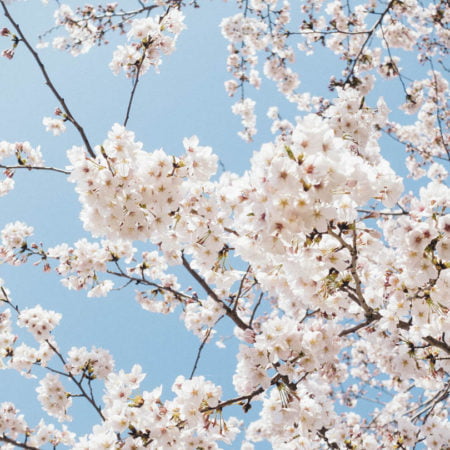 4月、5月のGW休業について